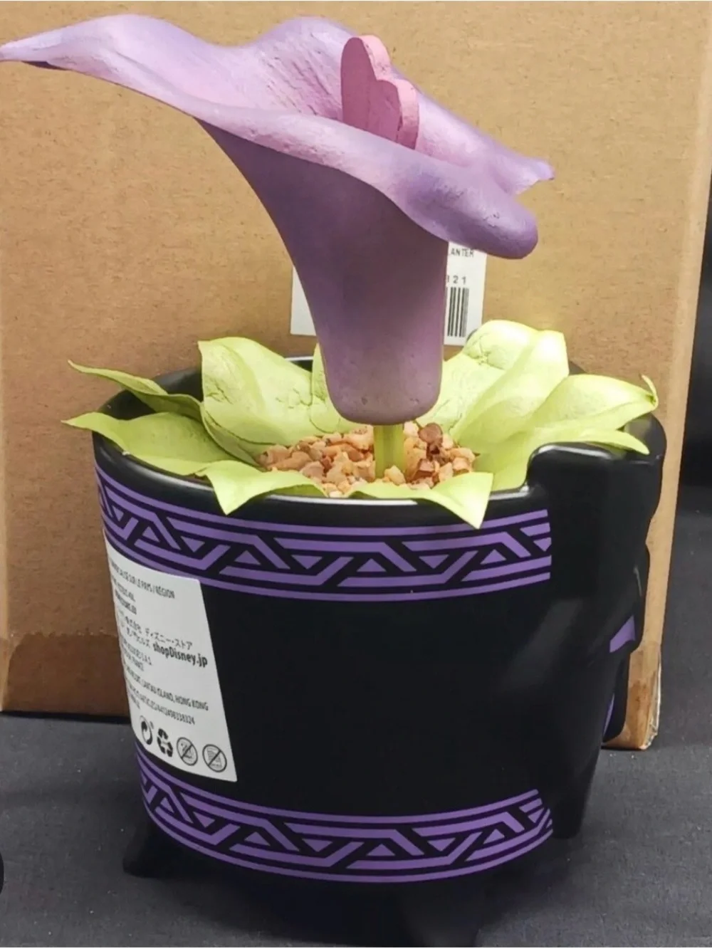 Wakanda Purple Flower Accent in Black Planter